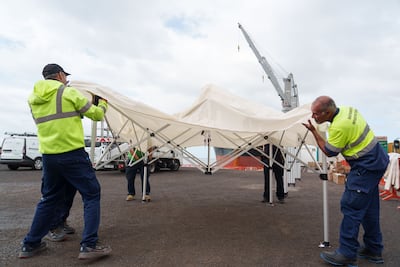 Seis casos de hantavirus confirmados, a la espera del desembarco del crucero afectado