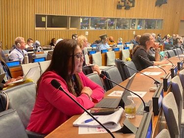 Panamá rindió informe sobre la atención a la población con discapacidad ante Naciones Unidas