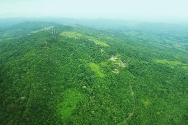 Ganaderos piden reactivar siembra de café en el cerro Canajagua