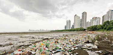 Gremios piden incluir a las Pymes en la lucha contra el cambio climático