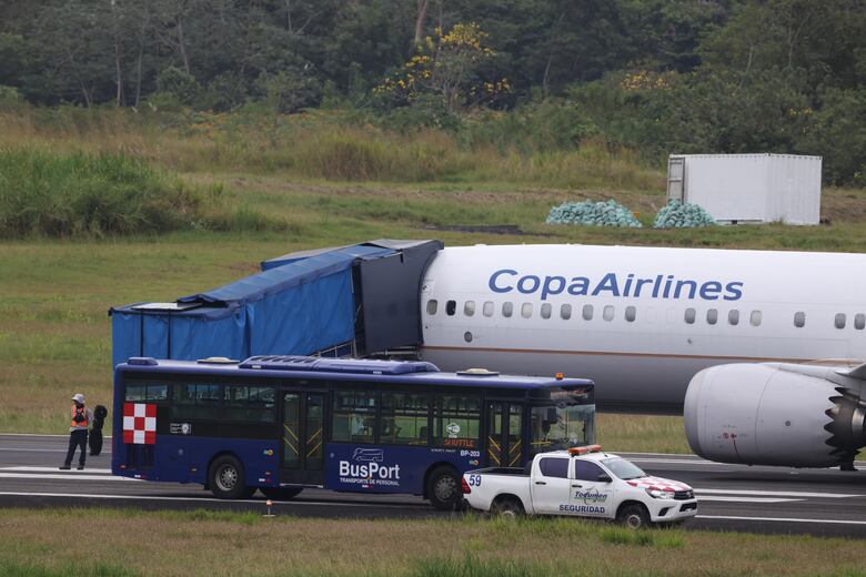 Impacto con aves en los cielos: cómo una colisión puede destruir un avión 