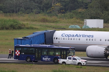 Impacto con aves en los cielos: cómo una colisión puede destruir un avión