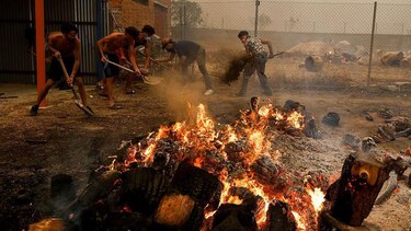 ‘Si me hubiera demorado cinco minutos más, nos habría arrasado’: los testimonios de los afectados por los devastadores incendios en España y Francia