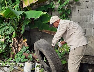 Dengue en Panamá: más de 15 mil casos y 25 defunciones en lo que va de 2025