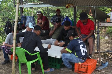 Bocas del Toro al borde del colapso: bloqueos, huelga ilegal y pérdidas millonarias