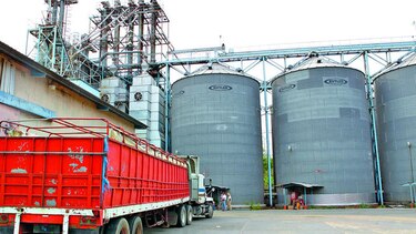 Logran acuerdo en precio del maíz