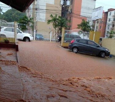 Lluvia causa caída de árboles, voladuras de techo e inundaciones en vías