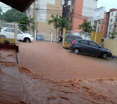 Lluvia causa caída de árboles, voladuras de techo e inundaciones en vías