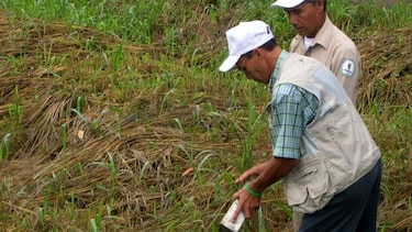 Confirman el cuarto caso de virus hanta en Herrera