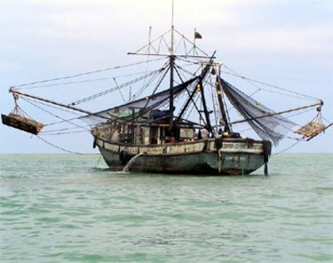 La pesca de camarón por arrastre en Panamá: del auge al agotamiento