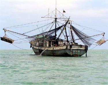 La pesca de camarón por arrastre en Panamá: del auge al agotamiento