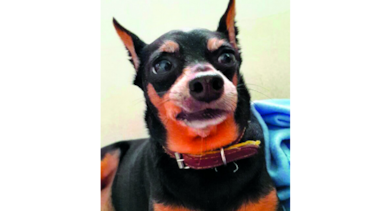 Chiquitín Berger