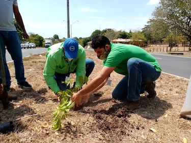 Ambientalistas y clubes cívicos de Herrera se suman a conmemoración del Día del Árbol