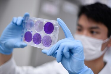 FDA quiere una vacuna contra la Covid-19 que funcione