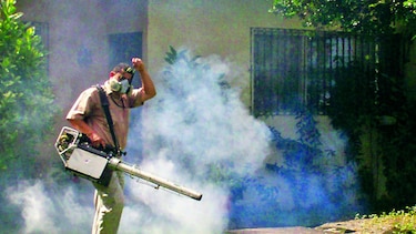 Distritos de Chiriquí muestran aún alta infestación del Aedes