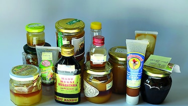 Pesticidas nocivos para abejas  en 75% de la miel mundial