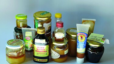 Pesticidas nocivos para abejas en 75% de la miel mundial