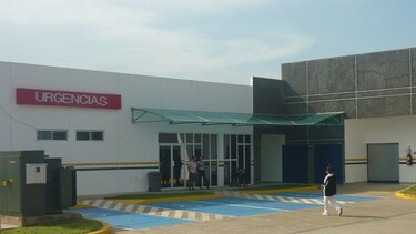 Los Santos: confirman mordedura de murciélago a un hombre de 34 años