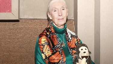 Jane Goodall vuelve a santuario de chimpancés en Sierra Leona