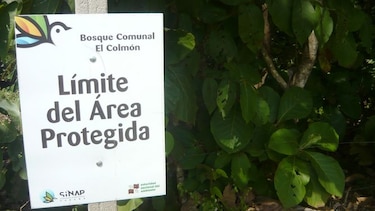 Firman convenio para restaurar vegetación en área protegida en Los Santos