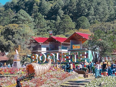 Turistas podrán hacer escala gratis en Panamá por 15 días