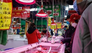 Aumentan los precios internacionales de los alimentos impulsado por alzas en carne y aceites vegetales 