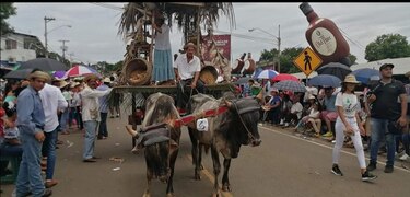 Festival de la Mejorana 2020 será virtual