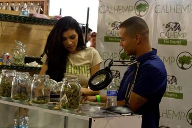 California acogió el primer mercado al aire libre de marihuana en EU