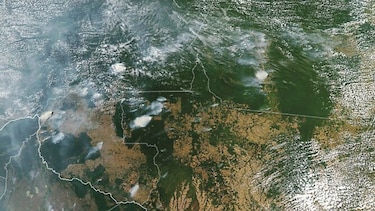 La selva amazónica se quema a un ritmo de vértigo