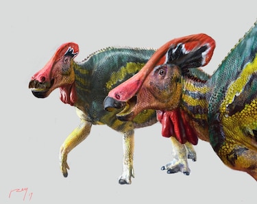 Dinosaurio ‘platicador’ identificado en México medía hasta 12  metros