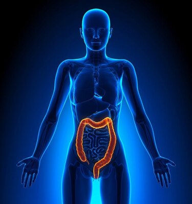 4 mitos del cáncer colorrectal