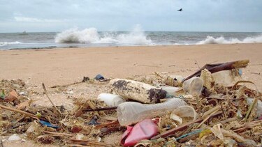 La Tierra está enferma, pero hay esperanzas