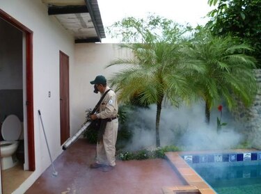 Reportan mil 528 casos de dengue
