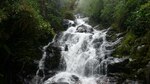 Cierran entrada a los parques La Amistad y Volcán Barú por bajas temperaturas