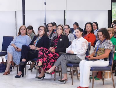 Lanzan encuesta para conocer los desafíos financieros que enfrentaron las candidatas en sus campañas