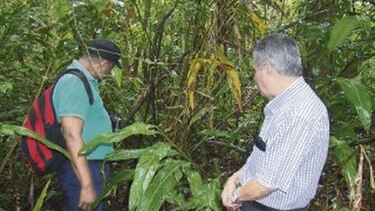 Los atractivos de Achiote