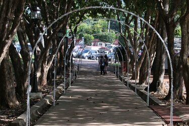 El nuevo plan para el parque Omar