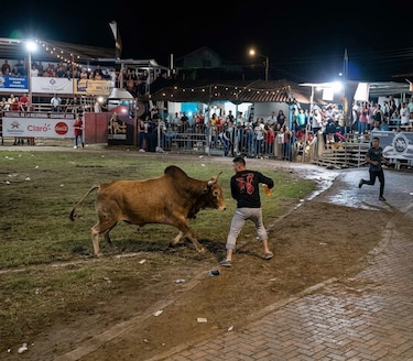 Hombre embestido por un toro en el Festival de la Mejorana se mantiene hospitalizado