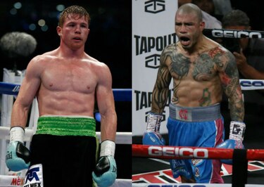 Cotto ante Canelo Álvarez, acción garantizada