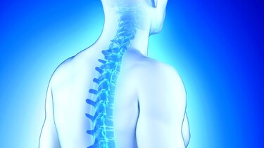 Genes influyen en riesgo de espondilitis anquilosante