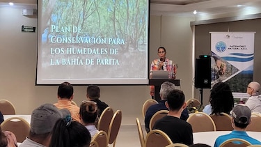La Sociedad Audubon lanza un plan de conservación para los humedales de la bahía de Parita