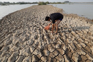 ‘El Niño’ y ‘La Niña’ alteran el equilibrio de los ecosistemas marinos y la pesca