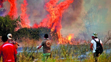 9 mil personas combaten incendios forestales