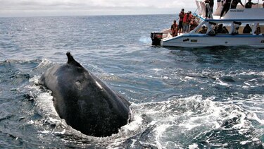 Ecuador exigirá seguro médico a los turistas