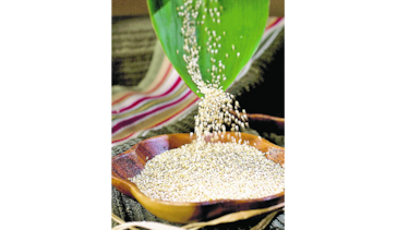 Quinua puede revolucionar la dieta