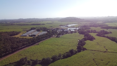 Varela Hermanos estima cosechar más de 95 mil toneladas de caña de azúcar durante la zafra 2022
