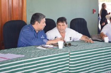 Mida ignora el origen de la brucelosis bovina