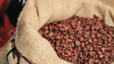 Valor de las exportaciones aumenta 11.7%