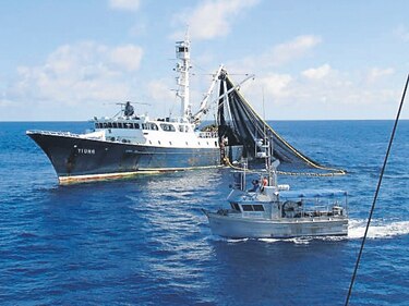 Bruselas valora nuevos controles para reducir pesca ilegal en el Antártico