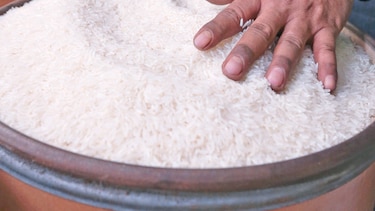 Plan piloto con arroz fortificado
